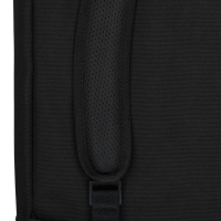 Rolltop Rucksack Robin Medium Schwarz